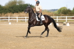 SBM_008287