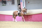 SBM_06969