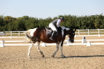 SBM_007009