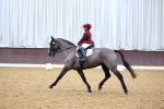SBM_002239