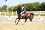 SBM_008398