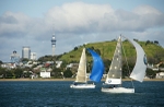 Auckland city