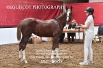 JAC_5907