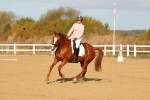 SBM_008798
