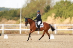 SBM_018737