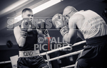 BOUT- 8_Ruslan Gogercaks v Jack Young-48
