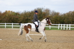 SBM_002635
