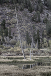 Eastern Sierras-26