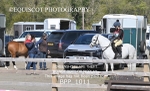 BPP_1011