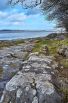 Arnside Shore 2