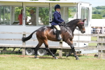 SBM_15896