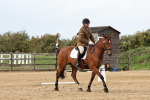 SBM_001798