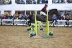 SBM_003249