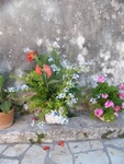 afionas