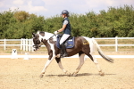 SBM_008841