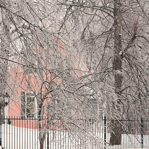 Glazed over deciduous trees & shrubs encapsulate a home's front yard during the Great Ice Storm of 2013.