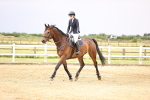 SBM_003069