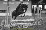 BPP_7086