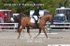 BPP_6072