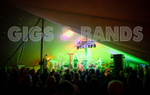 Gig for Colin-148