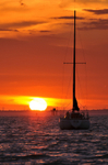 z1350 Sunset over the Solent