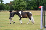 WJ6_8753