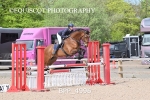 BPP_4996