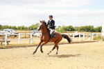 SBM_005790
