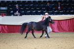 SBM_21794