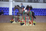 SBM_001427