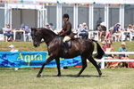 3E7A8300