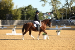 SBM_14196