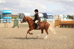 SBM_04737