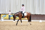 SBM_010964
