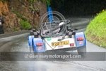 GUERNSEY MSA NATIONAL 2009 portfolio
