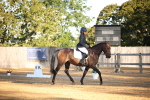 SBM_14608