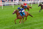260725-Race 1-Golden Palace-7110