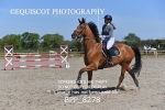 BPP_8278