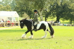 SBM_67572