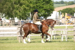 SBM_09537