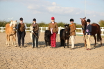 SBM_09159_Class 29 - IH Veteran Pony