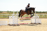SBM_006597