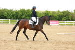 SBM_006008