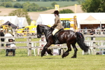 SBM_07128