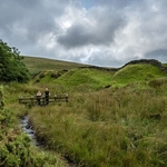 Forest of Bowland