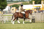 SBM_09555