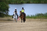 WJ6_9146