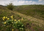 Deep Dale #03
