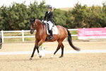 SBM_002658