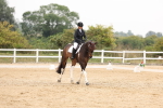 SBM_01684